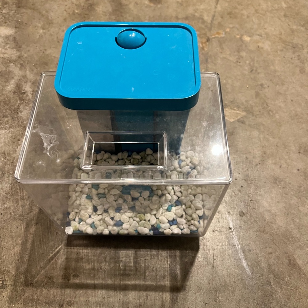 Petco beta fish tanks
